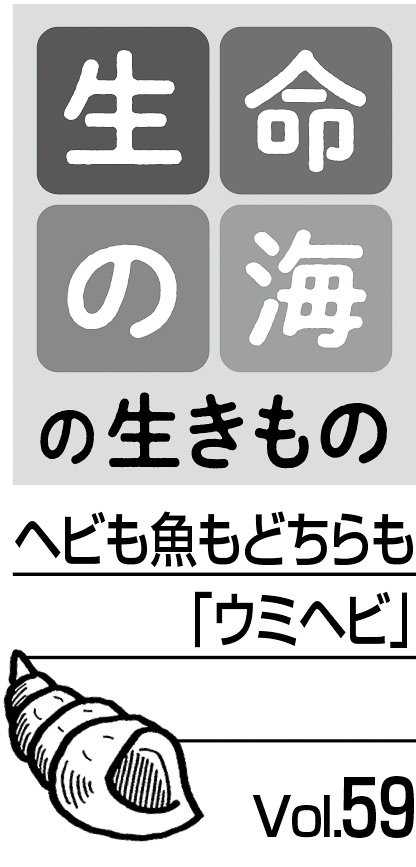 09p_生命の海59_見出し
