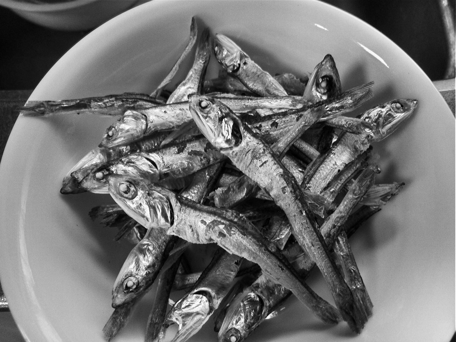 13p_魚_イワシの煮干し
