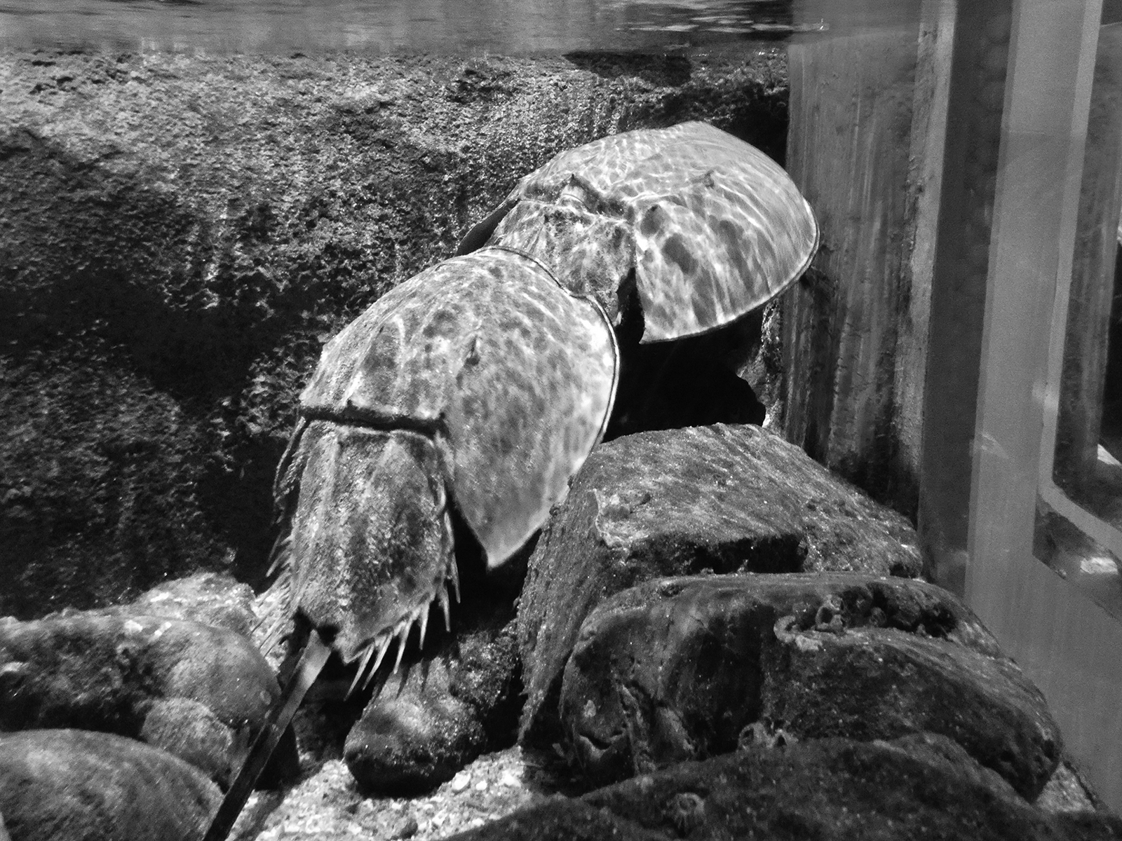 08p_生命の海_60