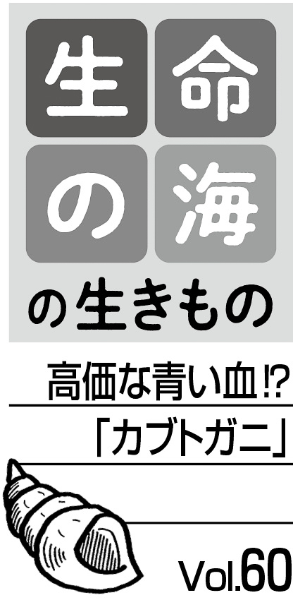 08p_生命の海_60_見出し