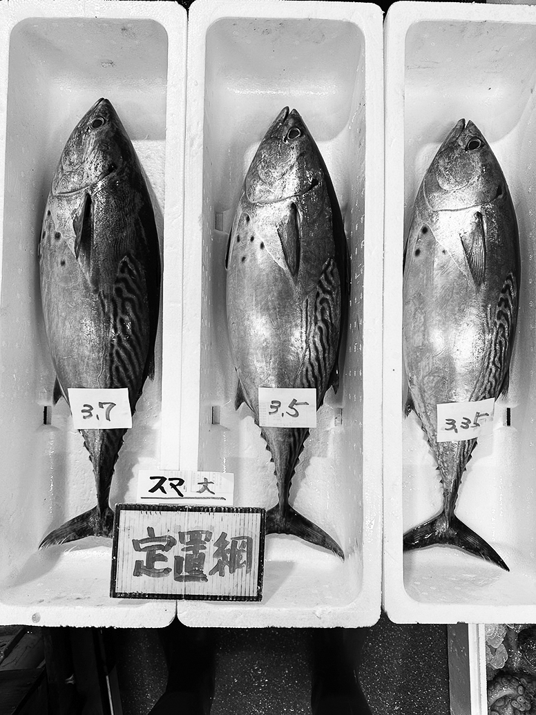 10p_魚_スマ