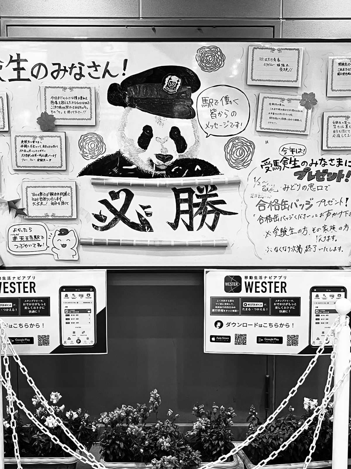 01p_ワンショット