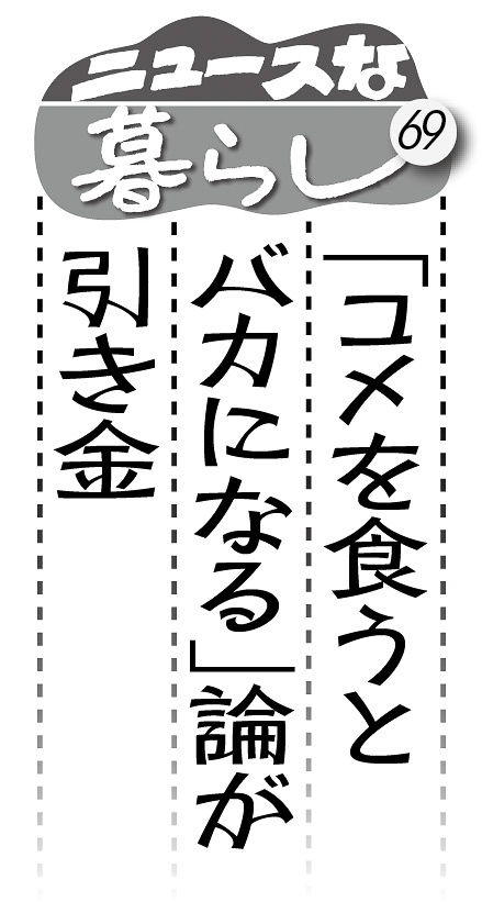 04p_ニュースな暮らし69_見出し