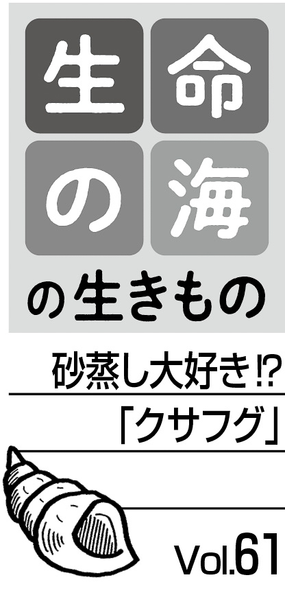 07p_生命の海61_見出し