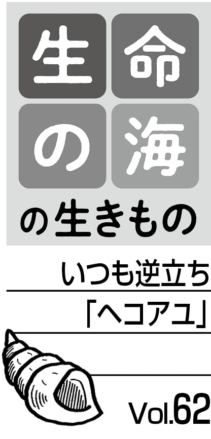 10p_生命の海62_見出し