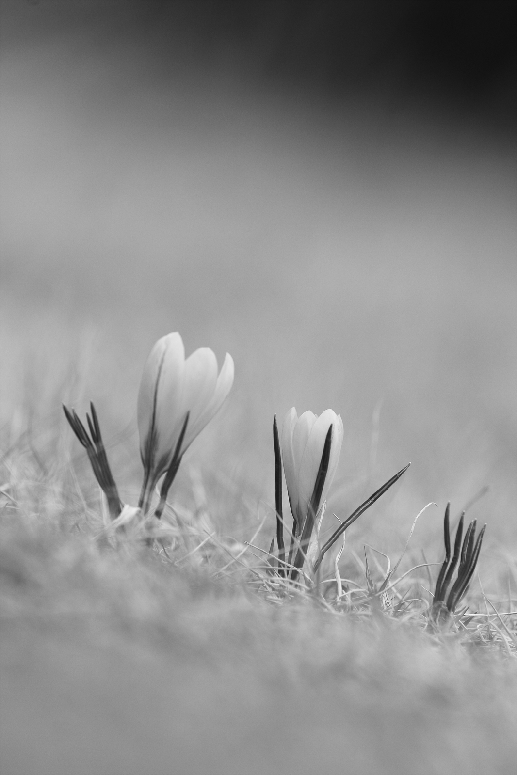 02p_No4