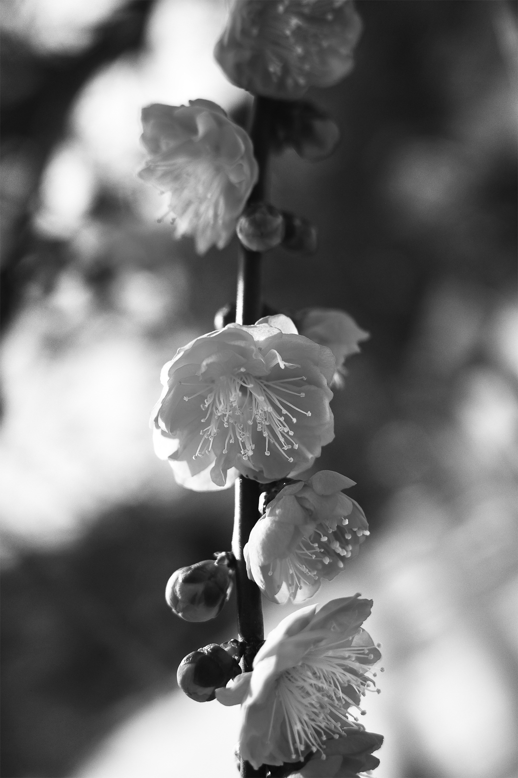 02p_No6