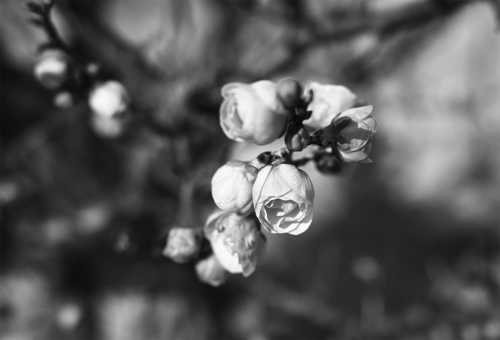 04p_No15