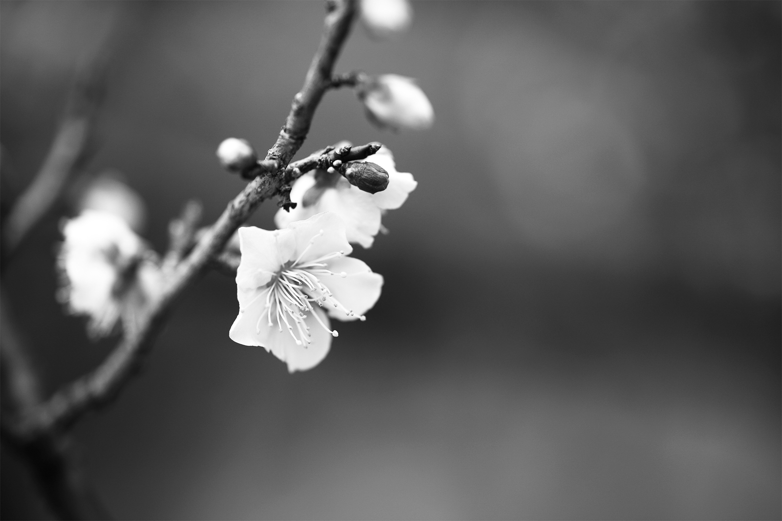 04p_No21