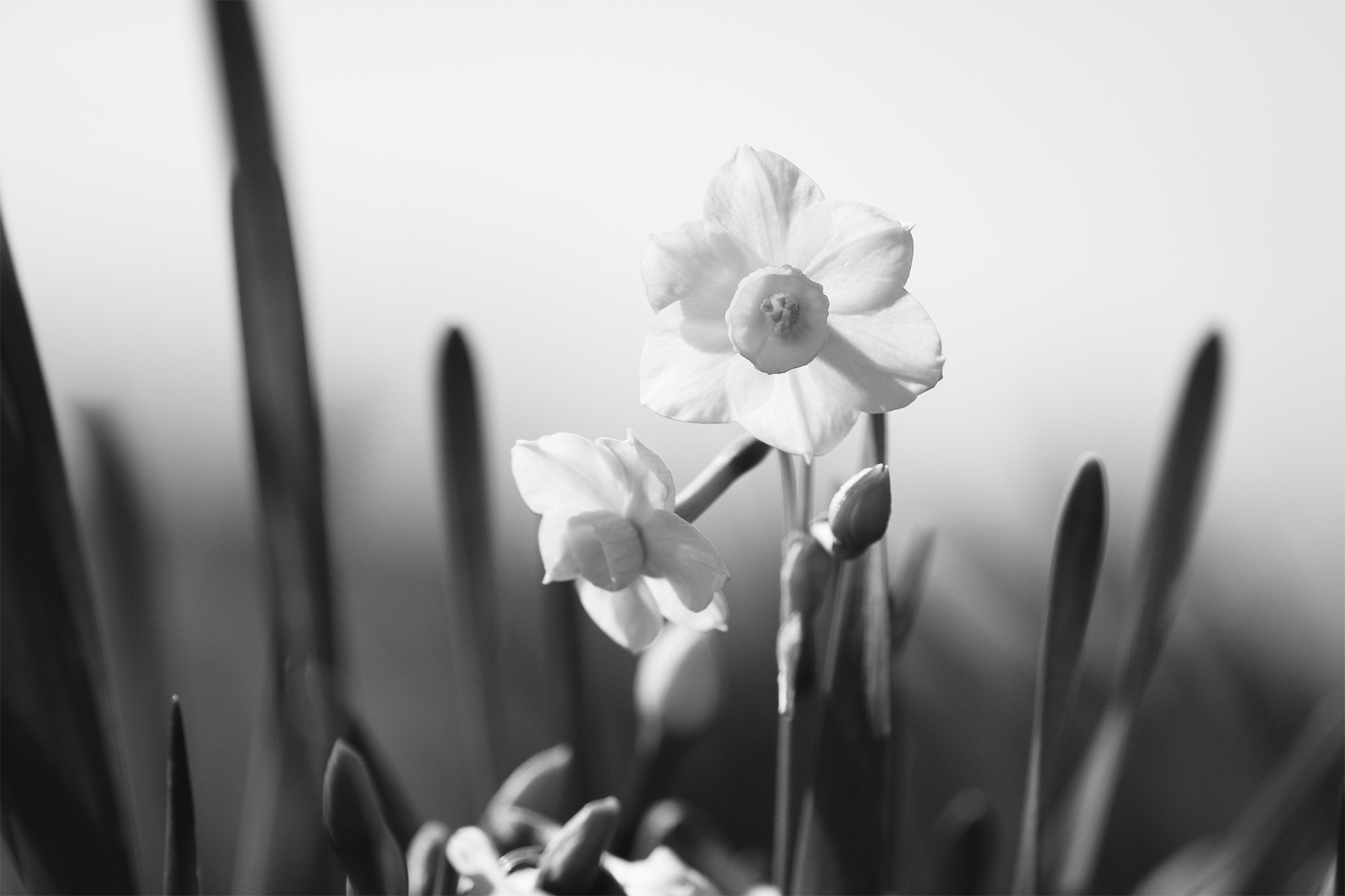 05p_No26