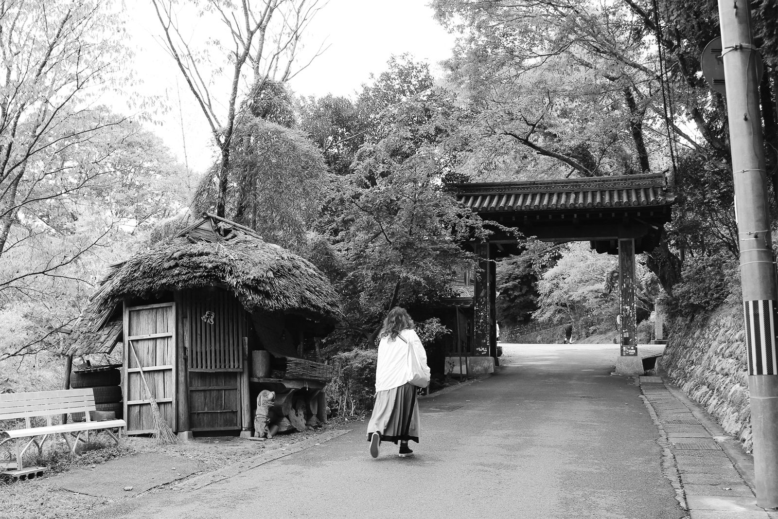 17p_旅_吉野山_03
