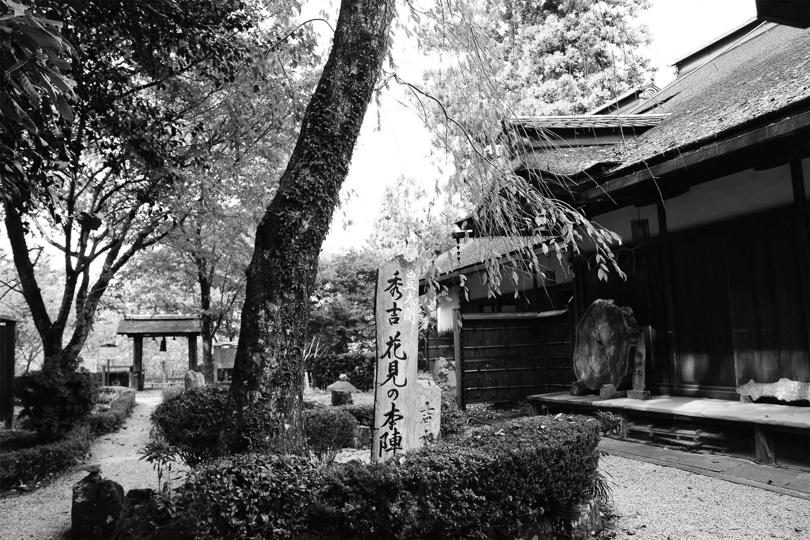 17p_旅_吉野山_07