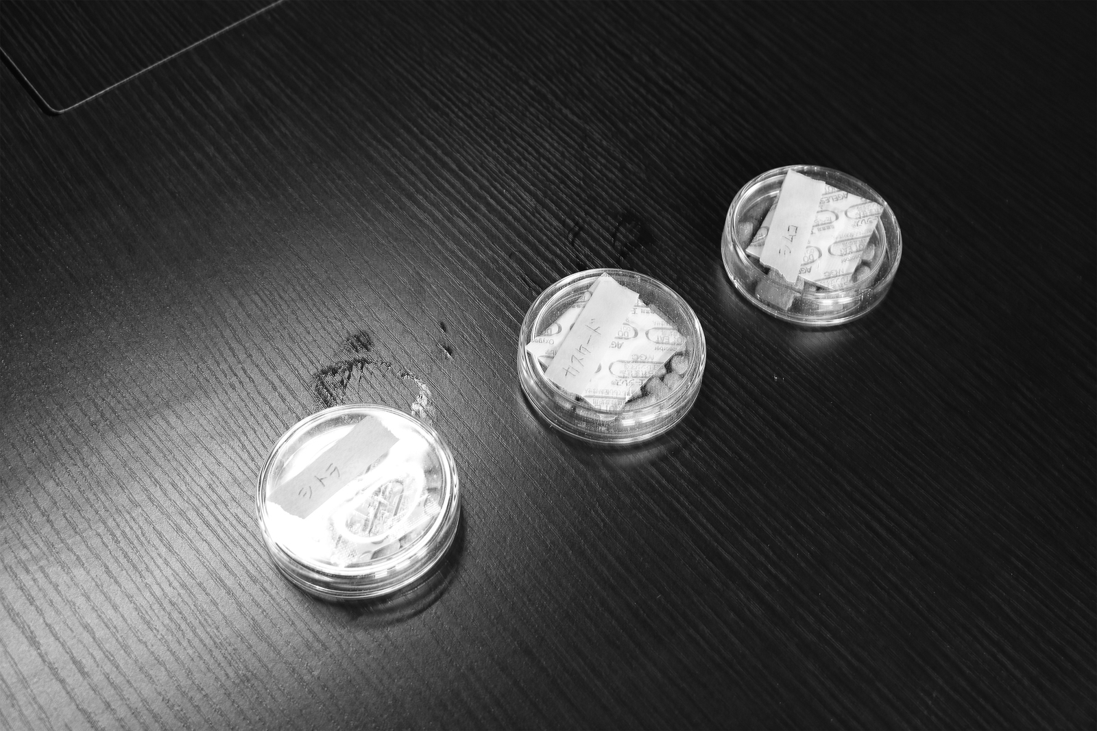 19p_トレンド_CB醸造体験_03