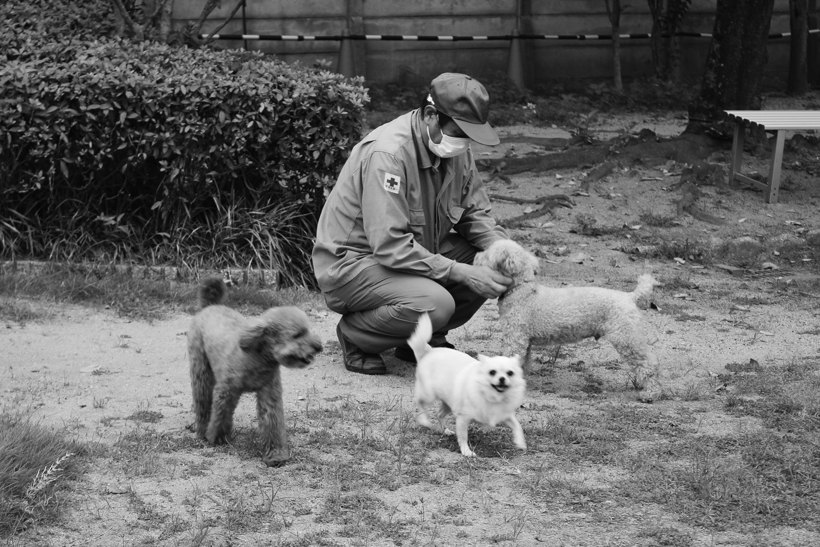 11p_地域_ワンニャン03