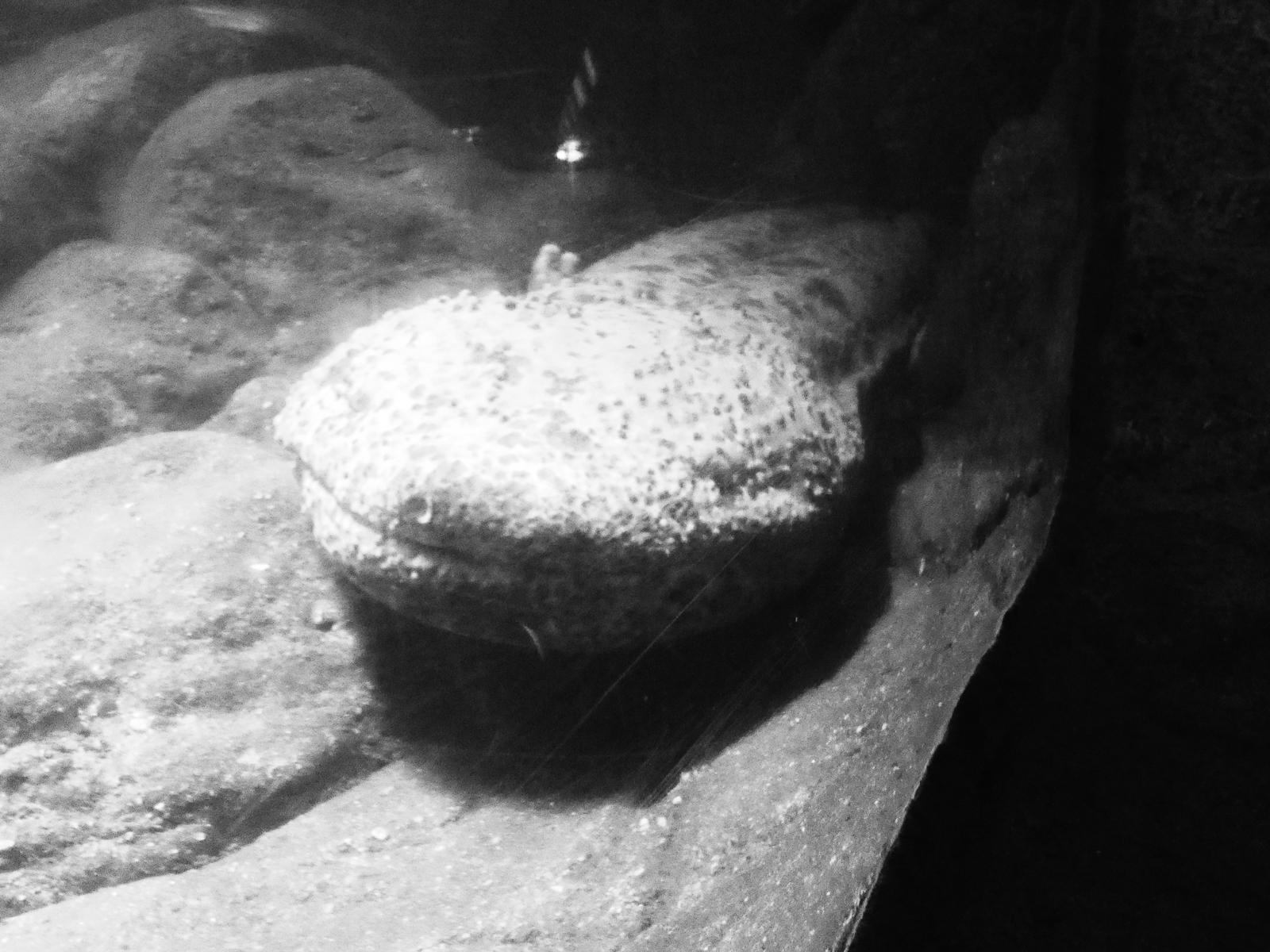 19p_訪問_03赤目滝